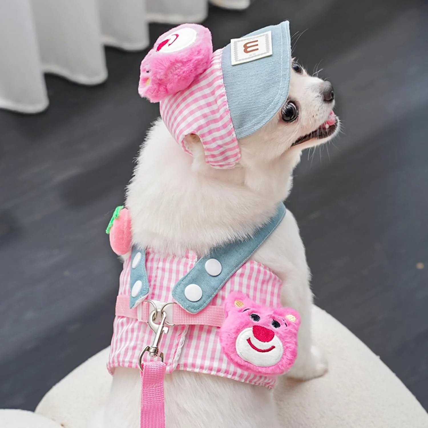 3-in-1 Pet Harness Set with Sun Hat & Leash - Image 8