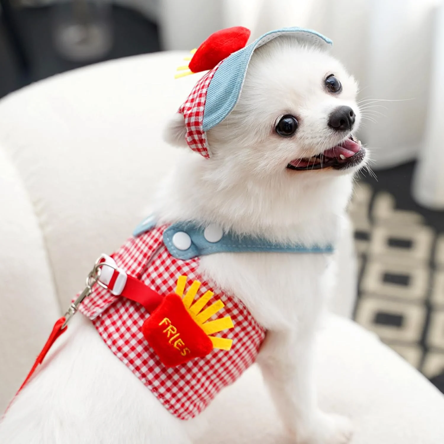 3-in-1 Pet Harness Set with Sun Hat & Leash - Image 9