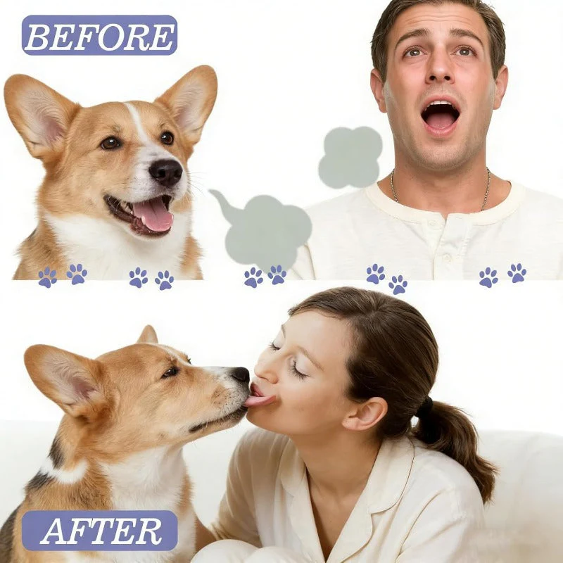 Brushless Pet Dental Spray - Image 5