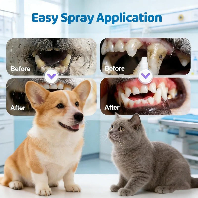 Brushless Pet Dental Spray - Image 7