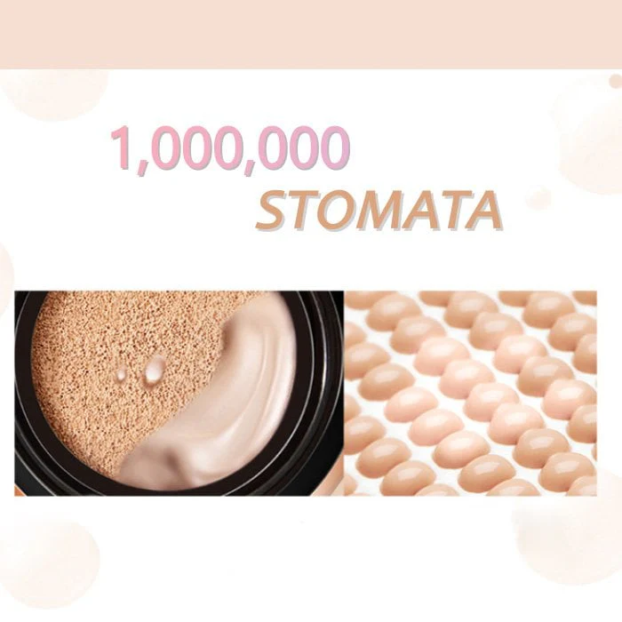 🔥🔥 Waterproof Flawless Air Cushion Foundation - Image 6