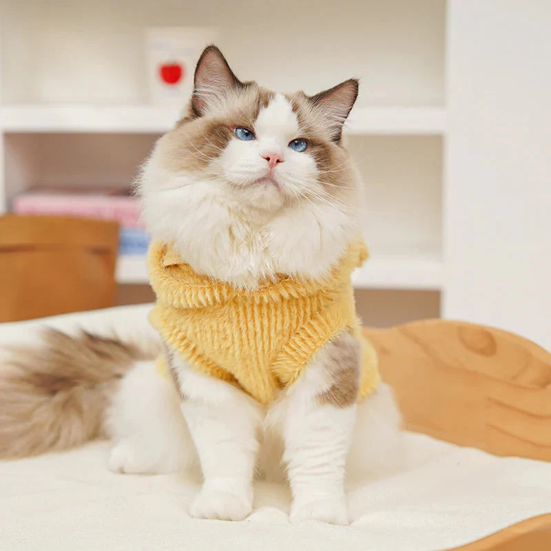 Cartoon Fleece Pet Hoodie - Image 3