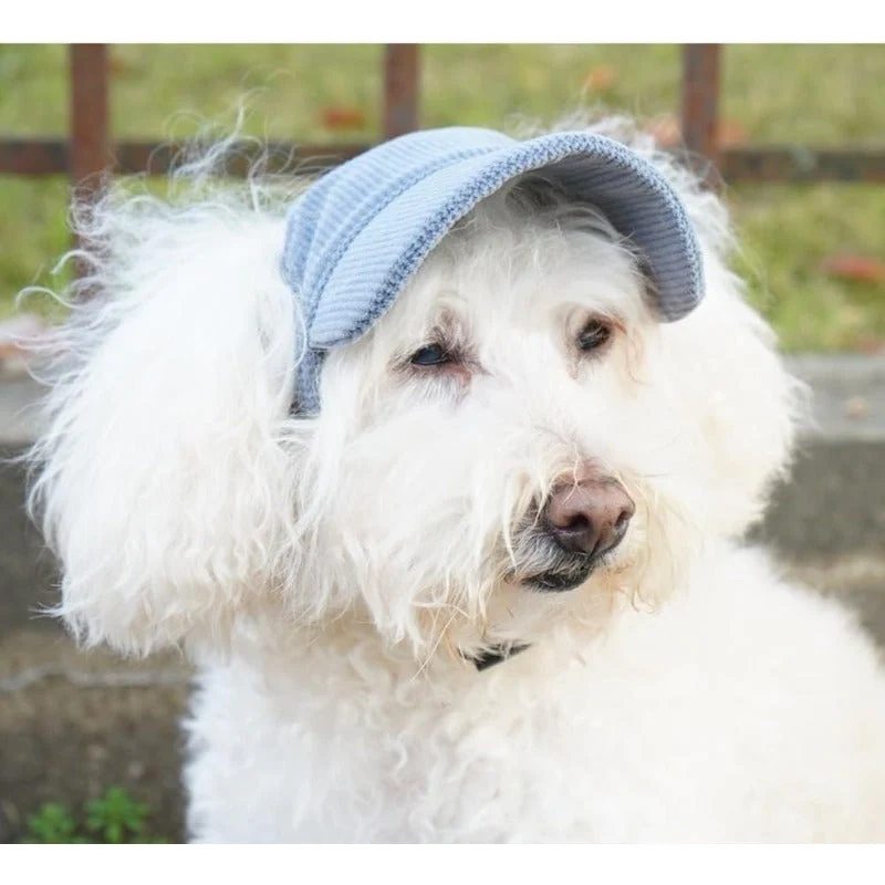 UV Blocking Pet Sunhat - Image 8