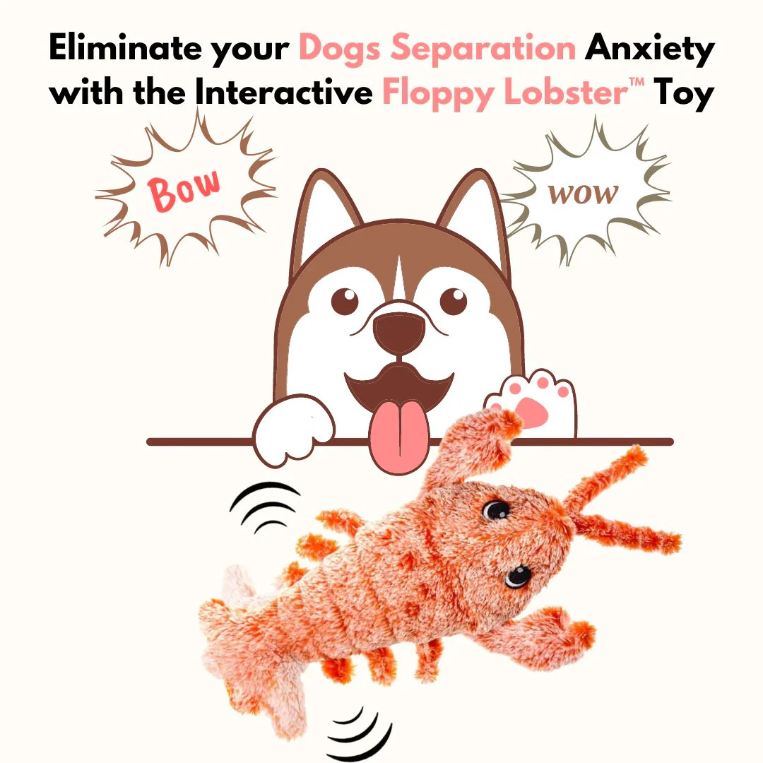 🔥Floppy Lobster Interactive Dog Toy - Image 2