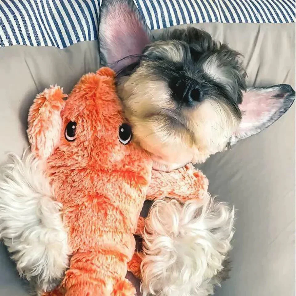 🔥Floppy Lobster Interactive Dog Toy - Image 4
