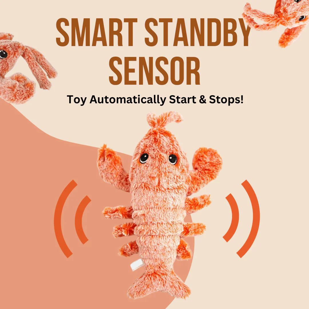 🔥Floppy Lobster Interactive Dog Toy - Image 6