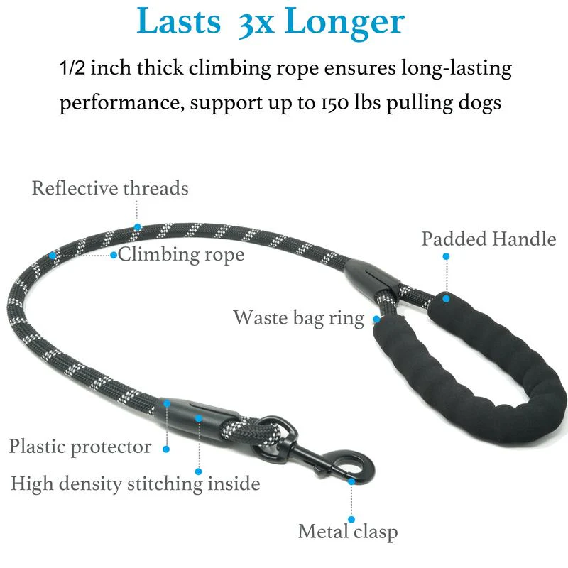Heavy Duty Dog Leash with Shock Absorbing Bungee - Image 3