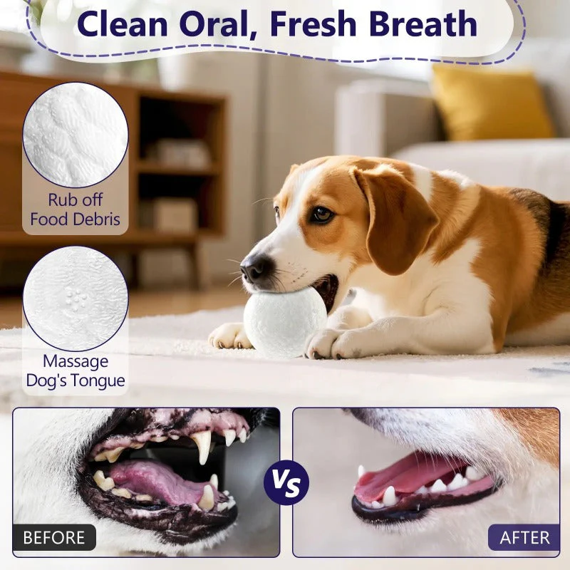 Indestructible Dog Ball - Image 5