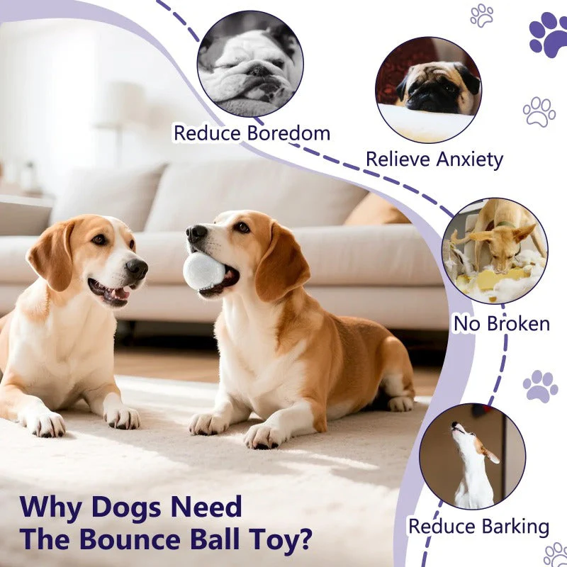 Indestructible Dog Ball - Image 6