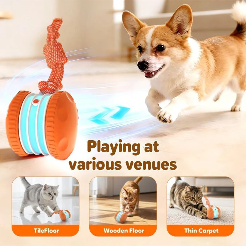 Interactive Electric Rolling Toy - Image 5