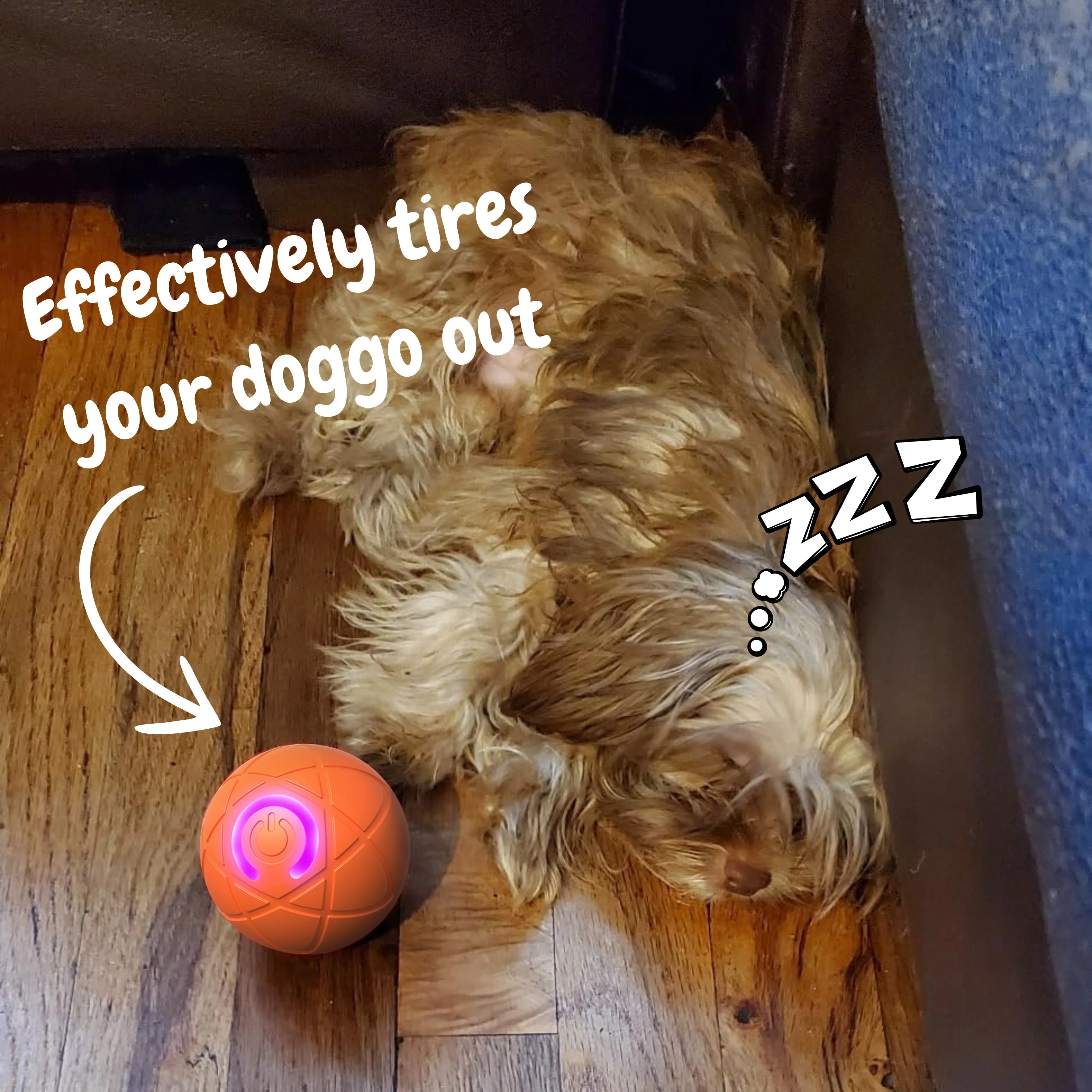 Interactive USB‑Rechargeable Bouncing Ball Toy for Dogs - Image 4