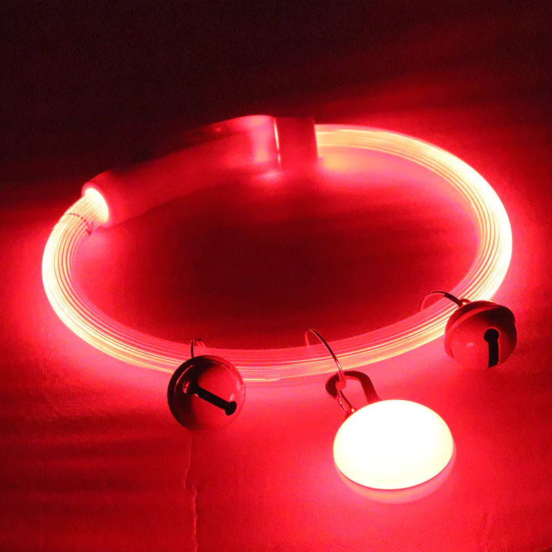 LED Dog Safety Collar - Image 11