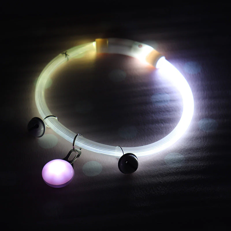 LED Dog Safety Collar - Image 13