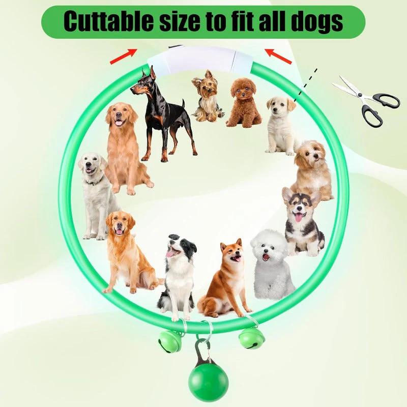 LED Dog Safety Collar - Image 5