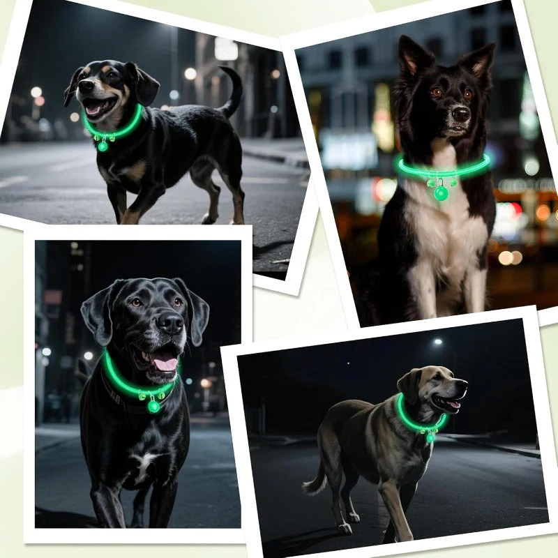 LED Dog Safety Collar - Image 6