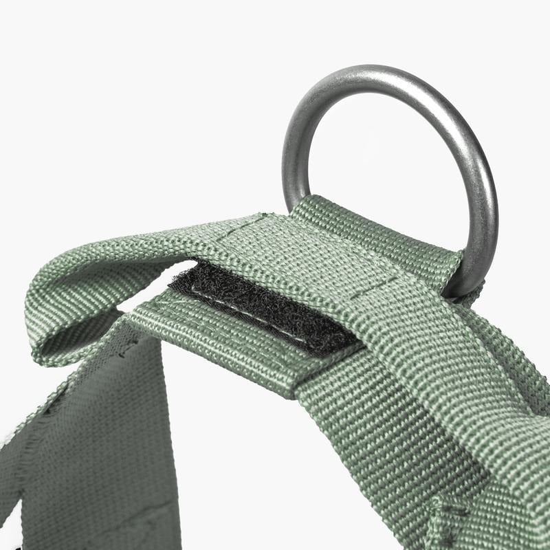 No-Pull Dog Harness - Image 3