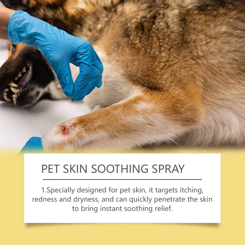 Pet Skin Treatment Spray for Fungal & Bacterial Infections - Image 5