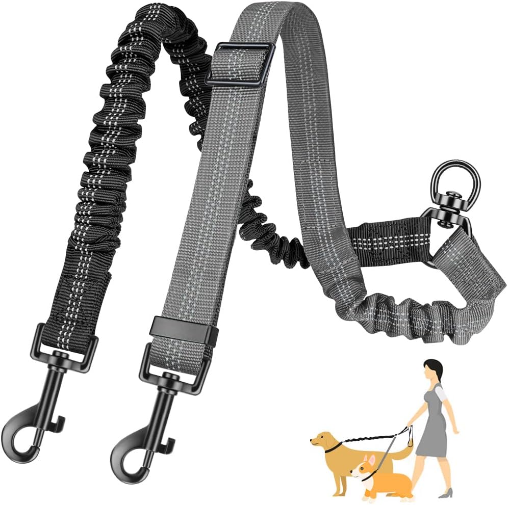 Reflective and Adjustable Elastic Dog Leash - Image 7