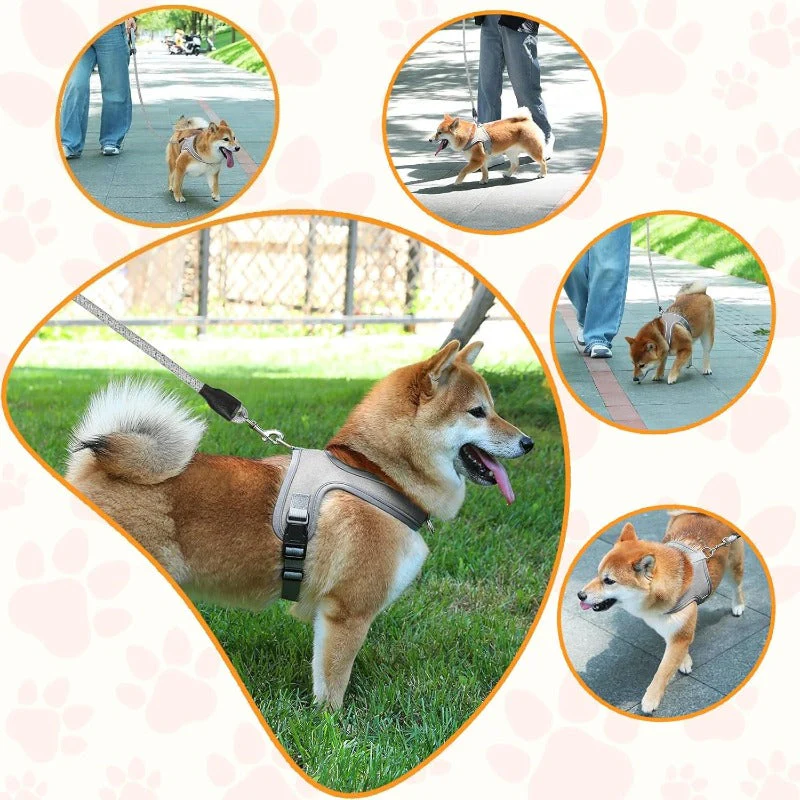 YoPoll Breathable Dog Harness with Reflective Leash - Image 5