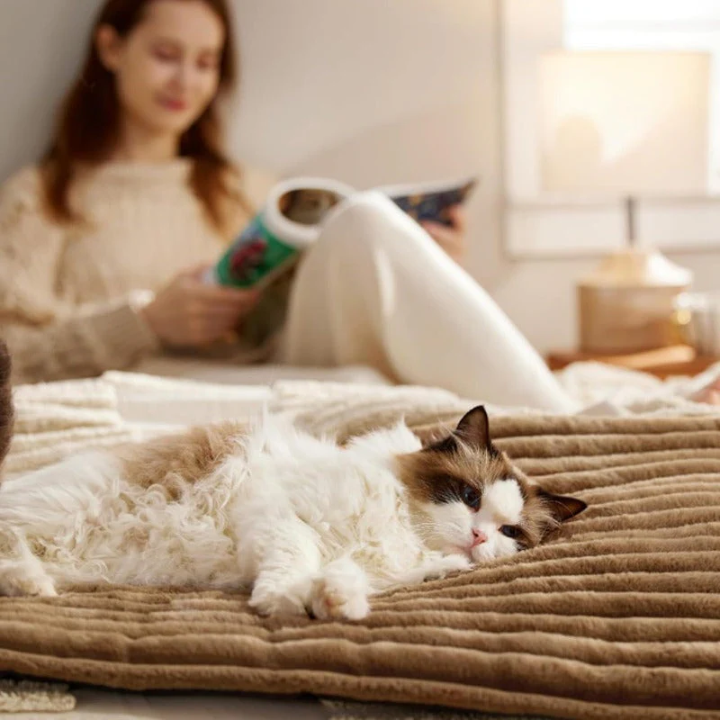 Self Warming Pet Bed - Image 7