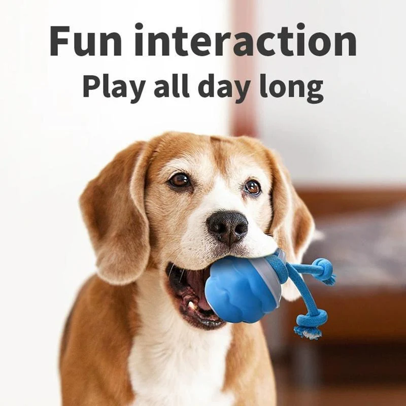 Smart Dog Toy Ball - Image 3