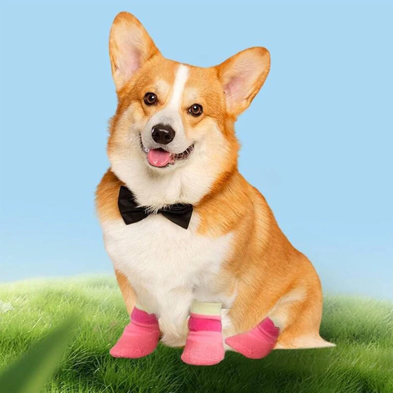 Waterproof Knit Dog Booties - Image 3