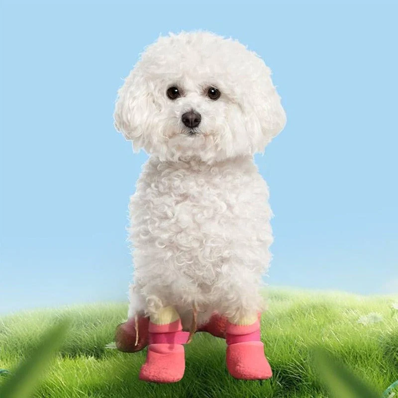 Waterproof Knit Dog Booties - Image 5