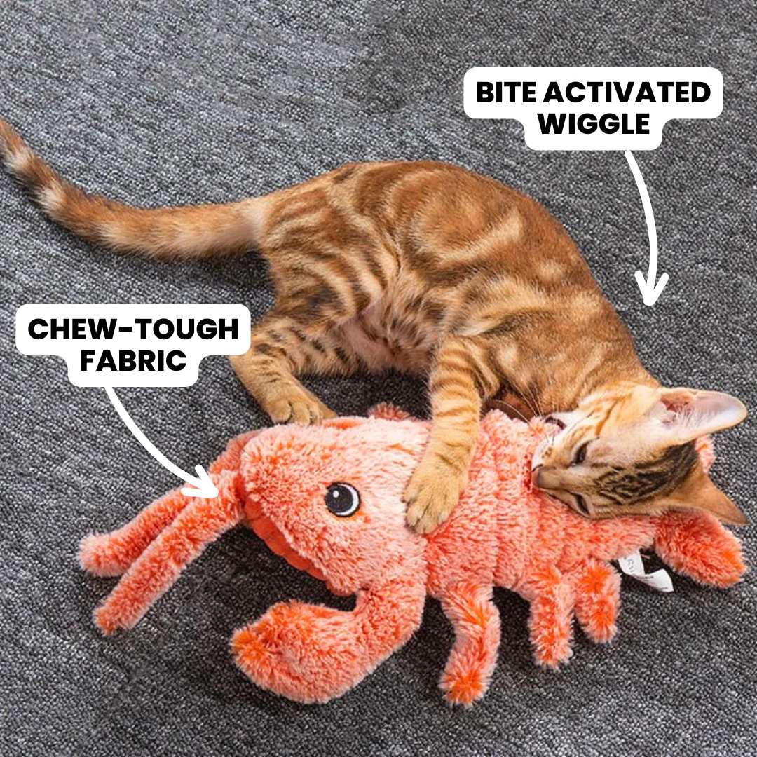 Mr. Wiggling Lobster - Image 3