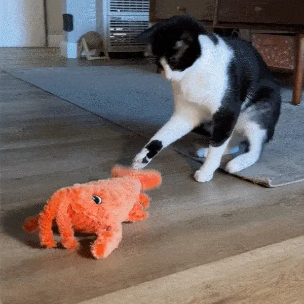 Mr. Wiggling Lobster - Image 2