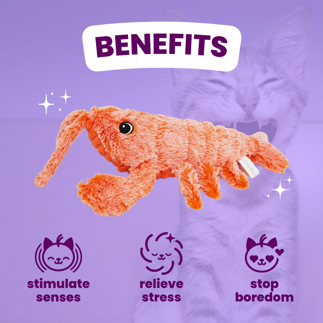 Mr. Wiggling Lobster - Image 4